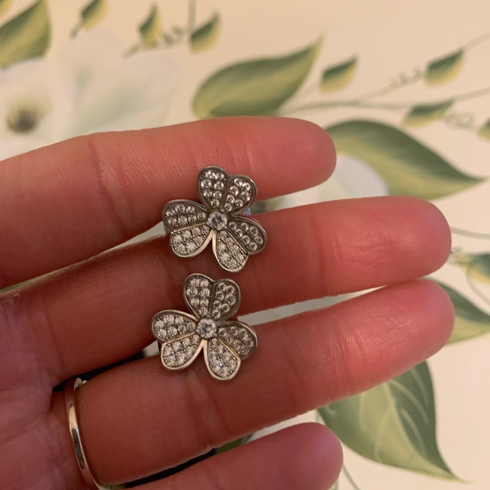 Silver Earrings